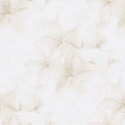02469-20 Обои P+S International Fashion for walls