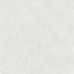 02487-50 Обои P+S International GMK Fashion for Walls Vol. 2