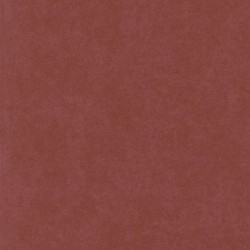 13347-50 Обои P+S International Carat
