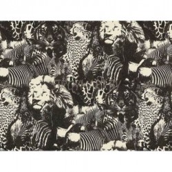 96243-3 Обои AS Creation Jungle