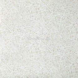Обои Caselio Passport 66570042