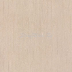 5551 Обои Zambaiti Parati Trussardi 2