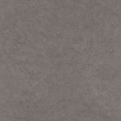 424201 Обои Rasch Fiducia