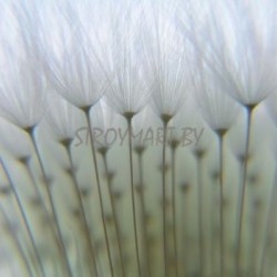 890808 Обои Rasch Magic Walls 3