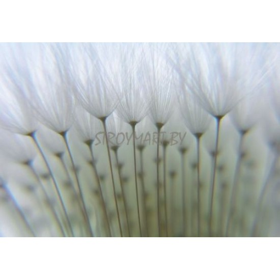 890808 Обои Rasch Magic Walls 3
