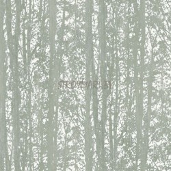 897913 Обои Rasch Freja