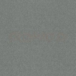 936636 Обои Rasch Maximum 13