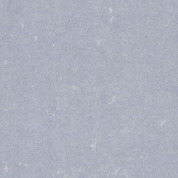 227238 Обои Rasch Textil Tintura