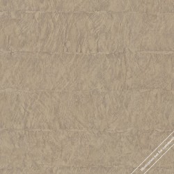 31023 Обои Marburg Platinum